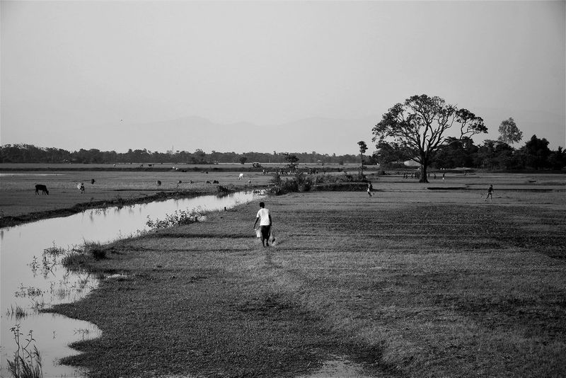 Black-and-white nature scene — photograph by Ajmain Fayek