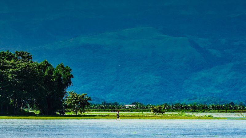 Nature photography — photograph by Ajmain Fayek
